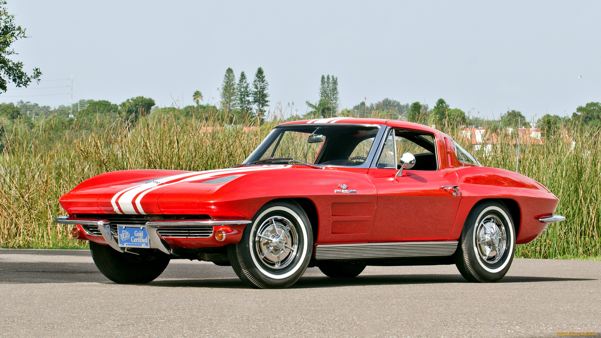 corvette, , gm, chevrolet, division, 